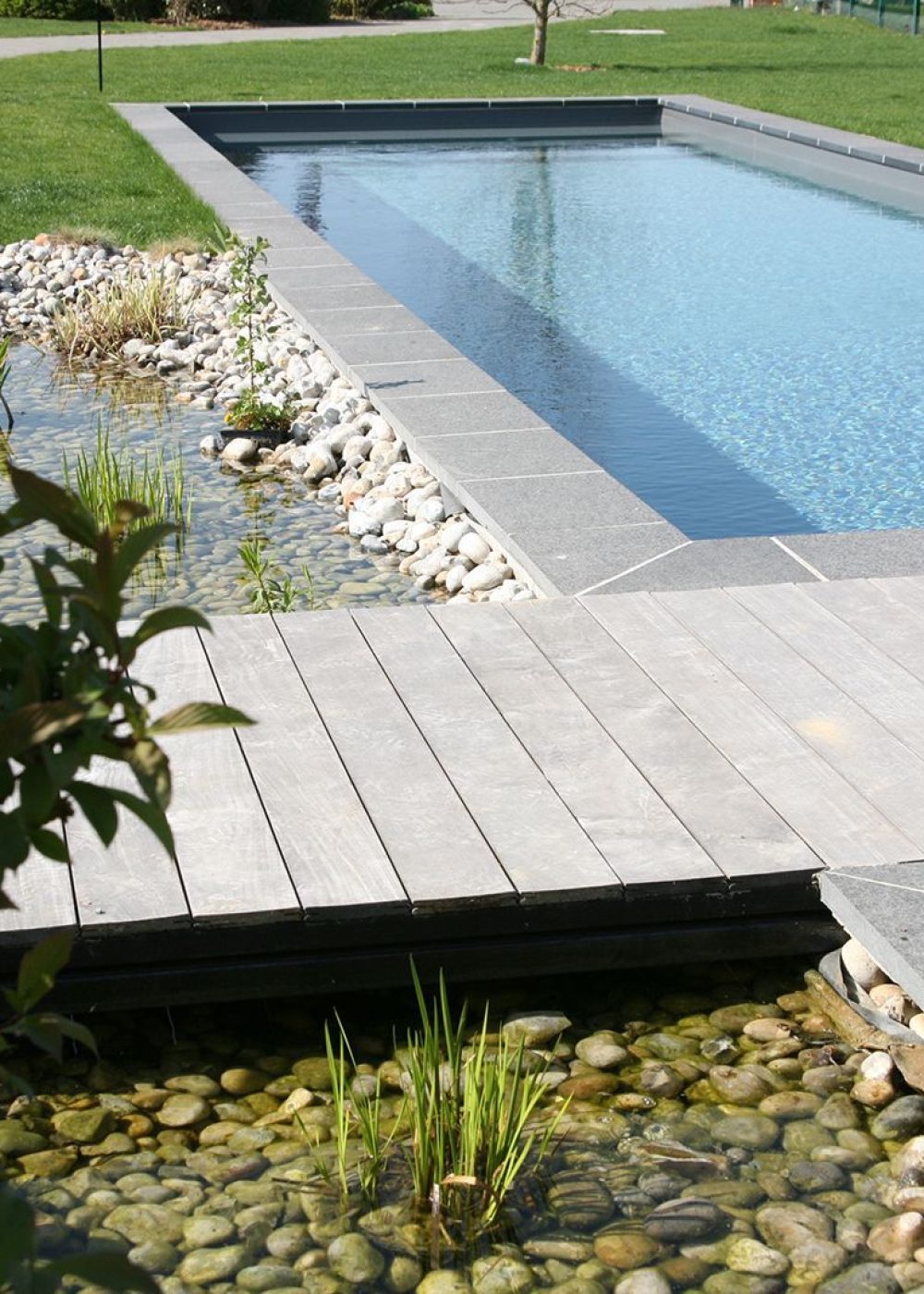 Piscine naturelle Bi-eaux avec bassin