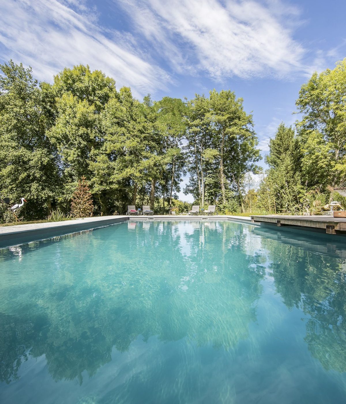 Grande piscine naturelle bi-eaux